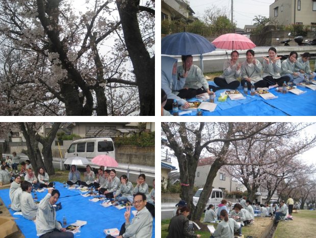 お花見会